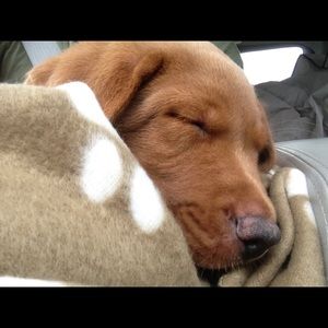 Meet your Posher, Matt